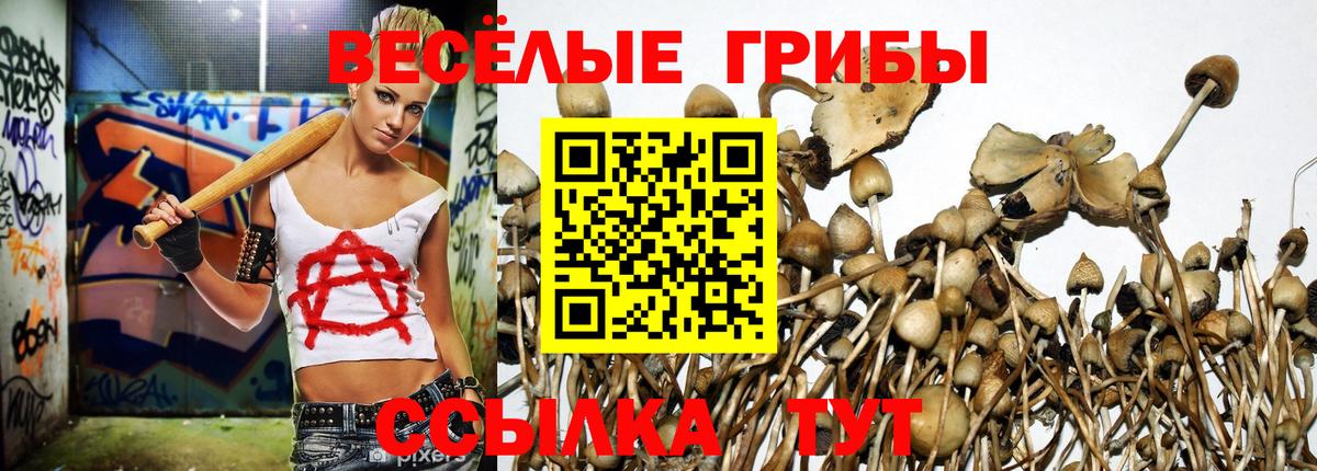 Галлюциногенные грибы мицелий Борисоглебск