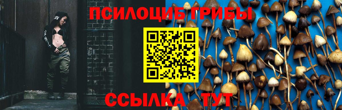 Псилоцибиновые грибы Psilocybe  Вход с VPN  закладка  Борисоглебск 